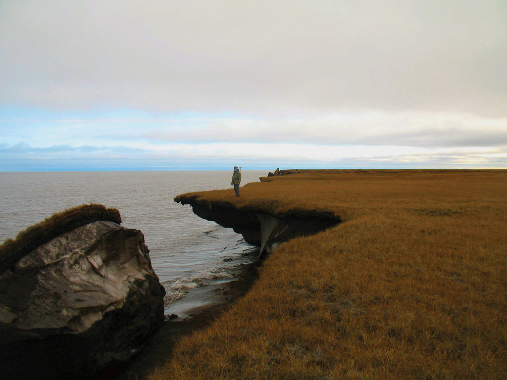 L'érosion du pergélisol sur la côte arctique de l'Alaska.